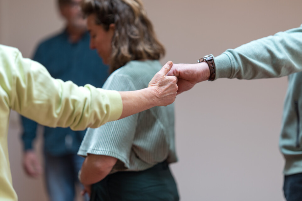 Opleiding systemisch werken oefendagen